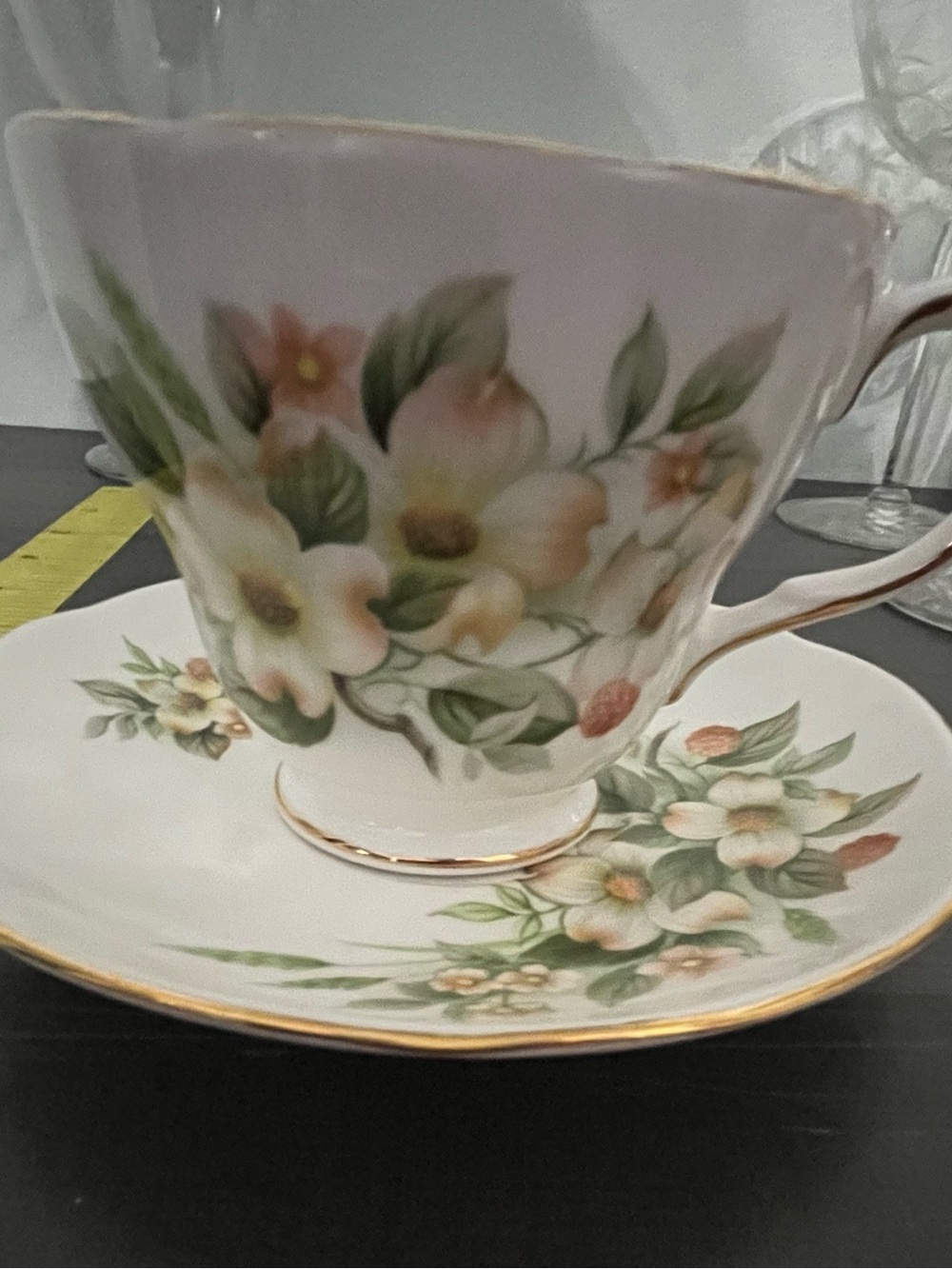 Duchess Bone China Teacup and Saucer - White with Green and Peach Floral Design